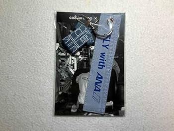 Amazon.co.jp: ANA 全日空 フライトタグ キーホルダ アップ